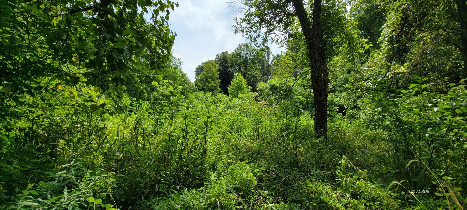 Lot 6 Sanner Rd Property Photo 5