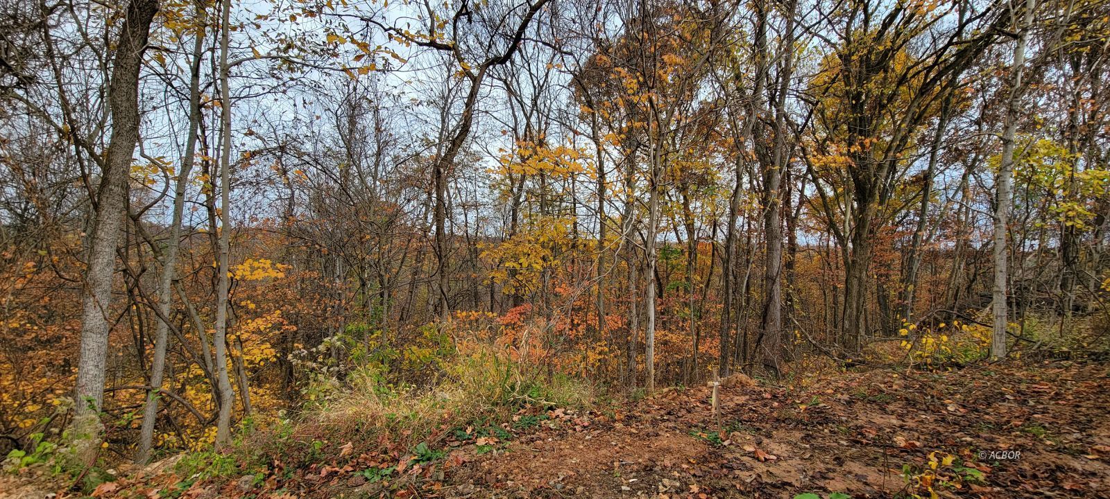 31428 Will Vance Rd Property Photo 17