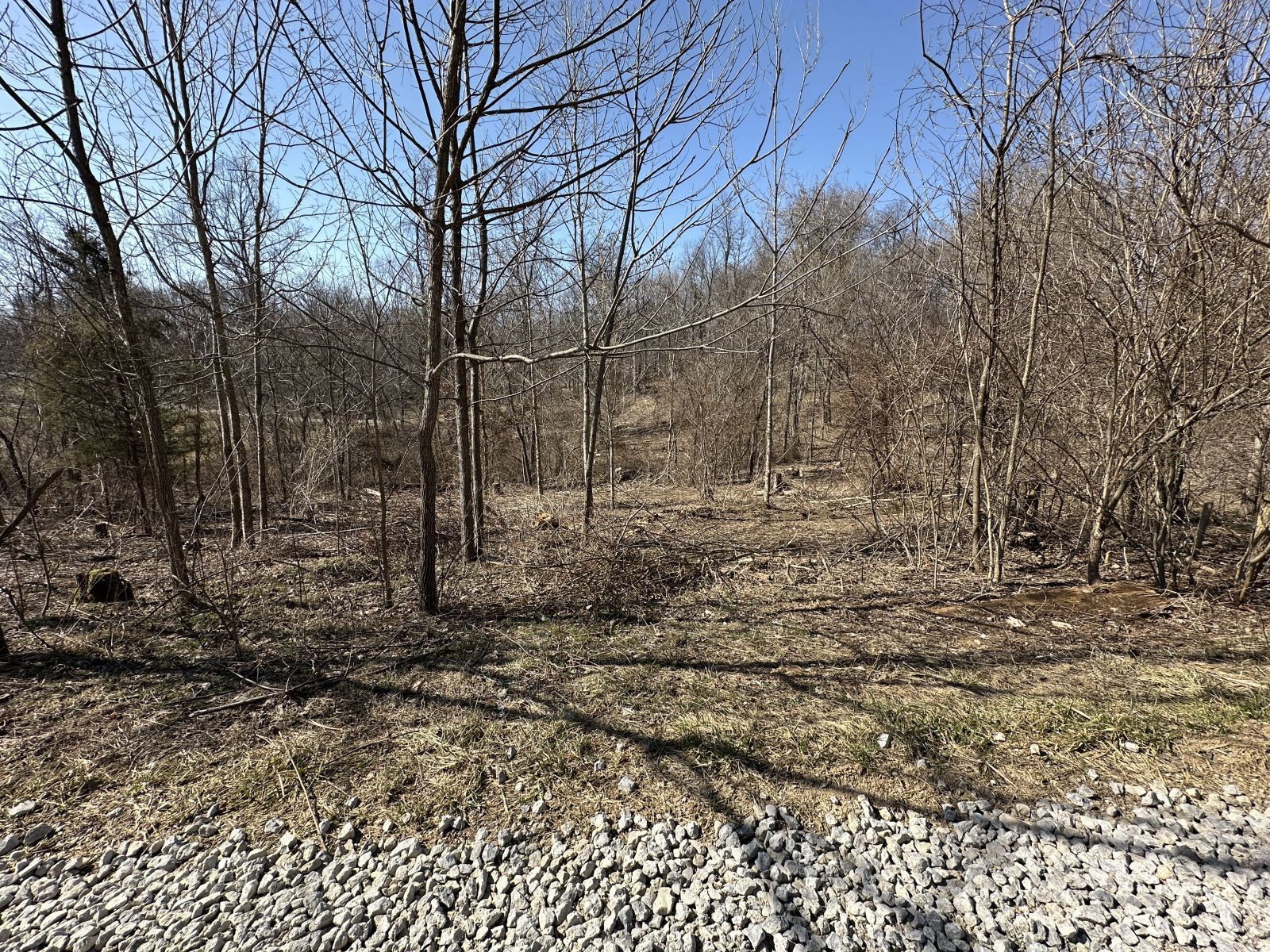 8537 Wood Rd Property Photo 3