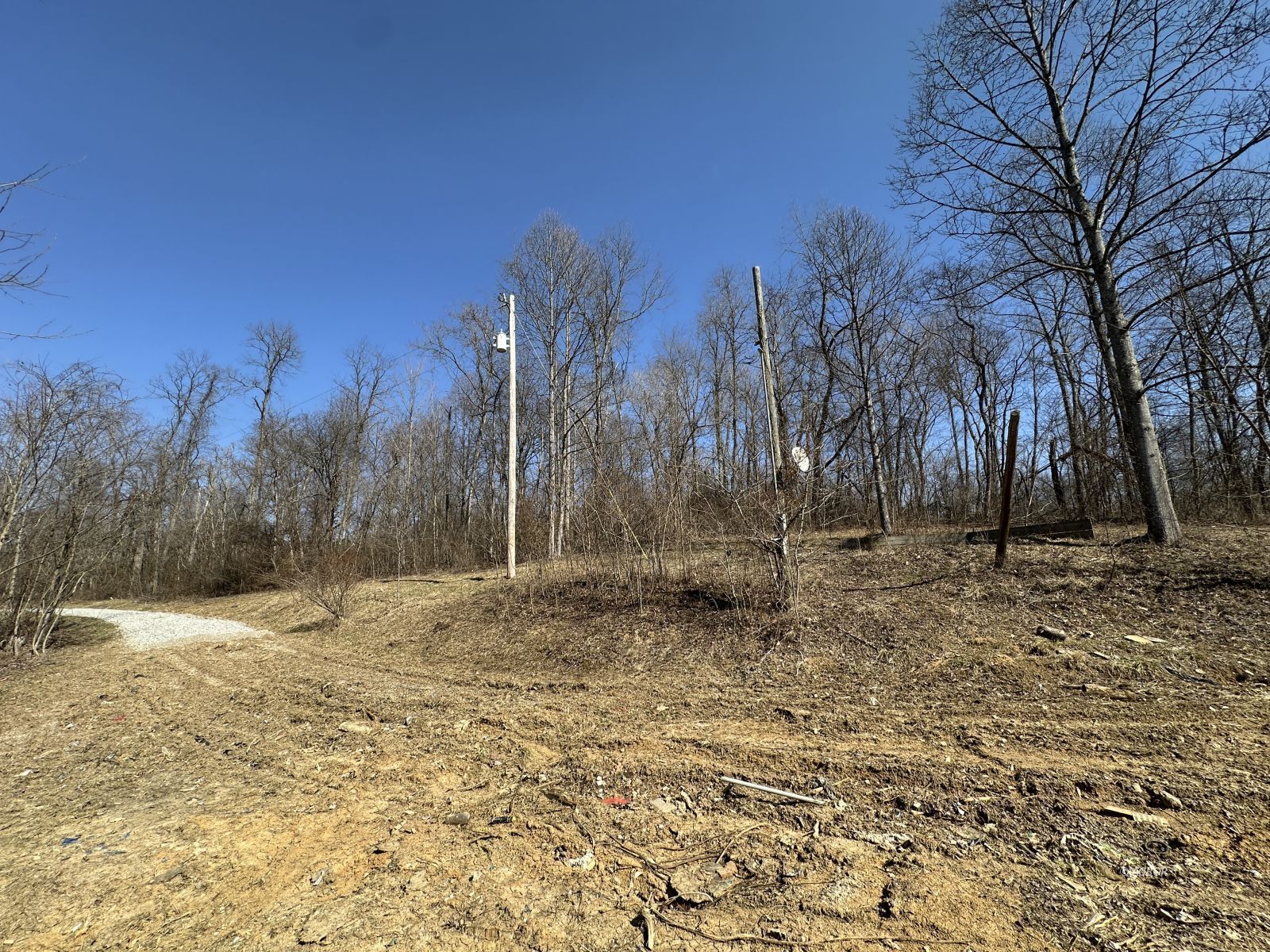 8537 Wood Rd Property Photo 5