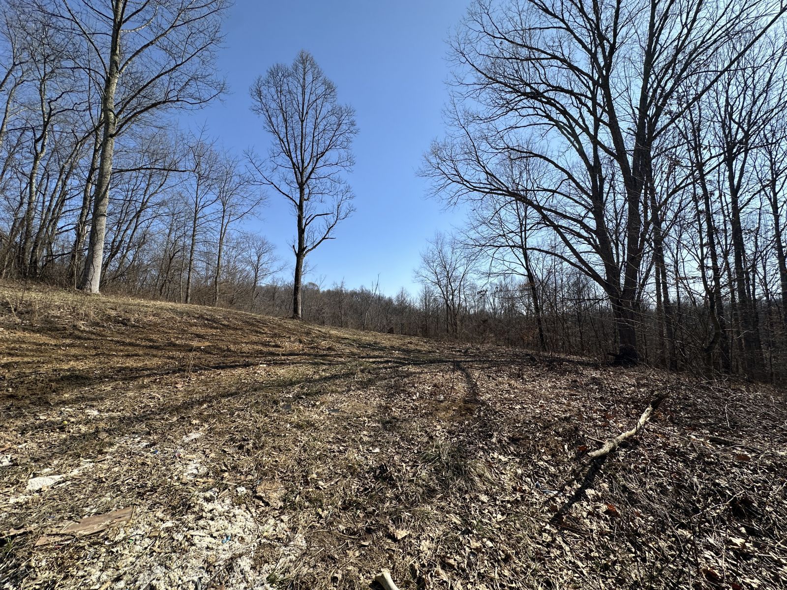 8537 Wood Rd Property Photo 6