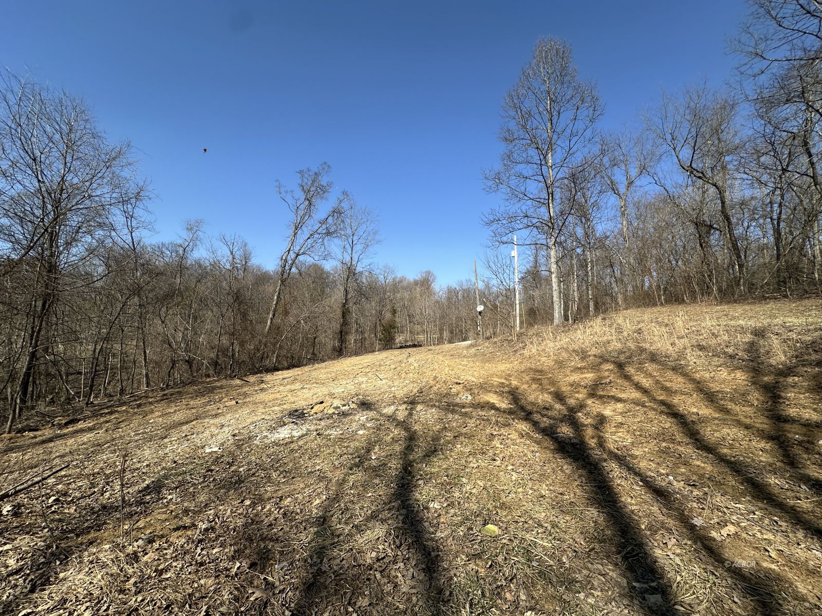 8537 Wood Rd Property Photo 7