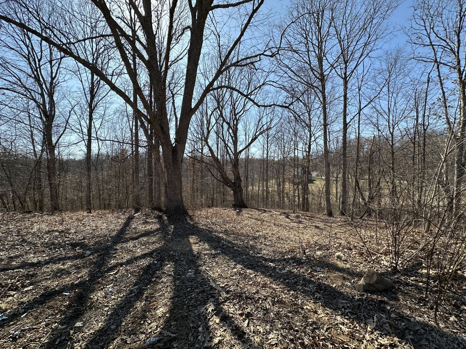 8537 Wood Rd Property Photo 8