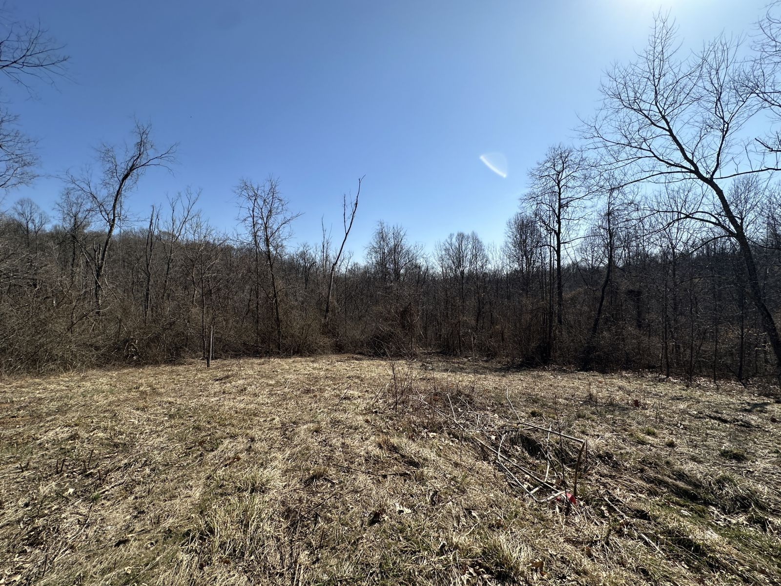 8537 Wood Rd Property Photo 10