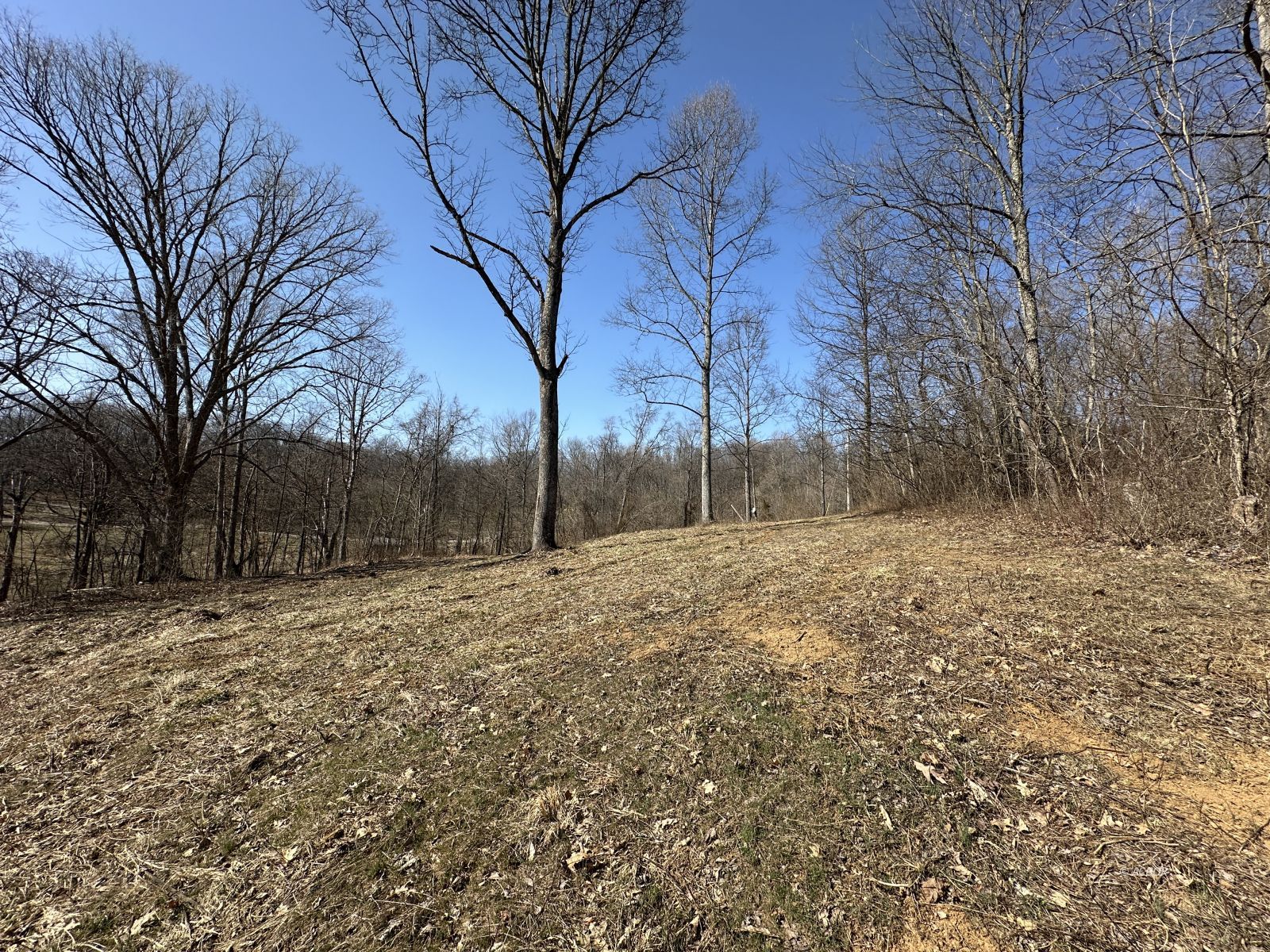 8537 Wood Rd Property Photo 11