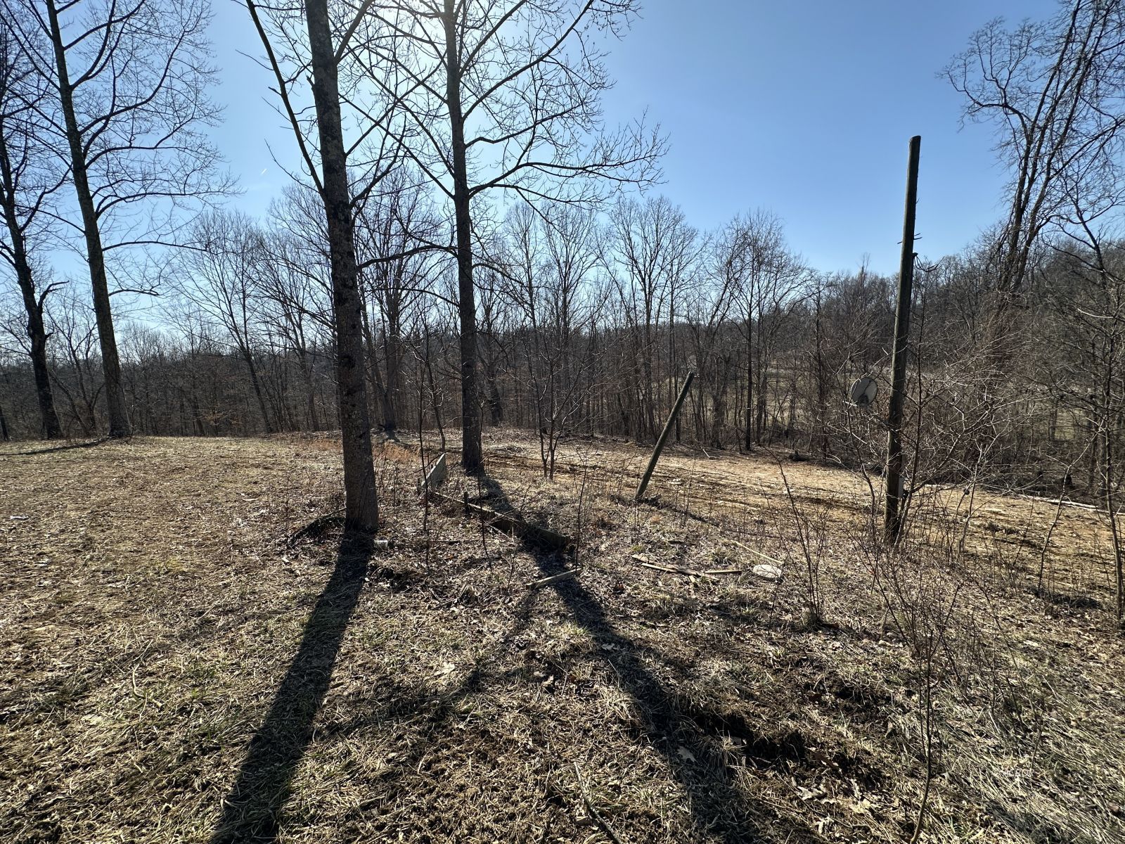 8537 Wood Rd Property Photo 13