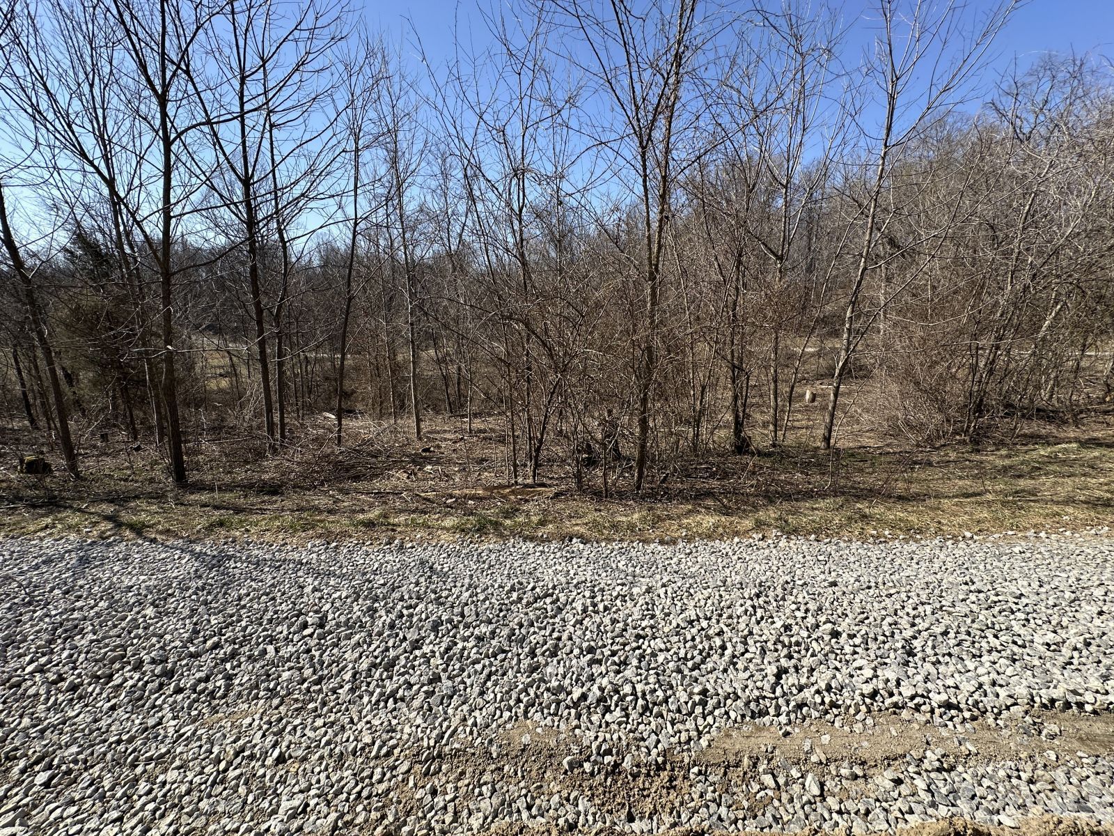 8537 Wood Rd Property Photo 15