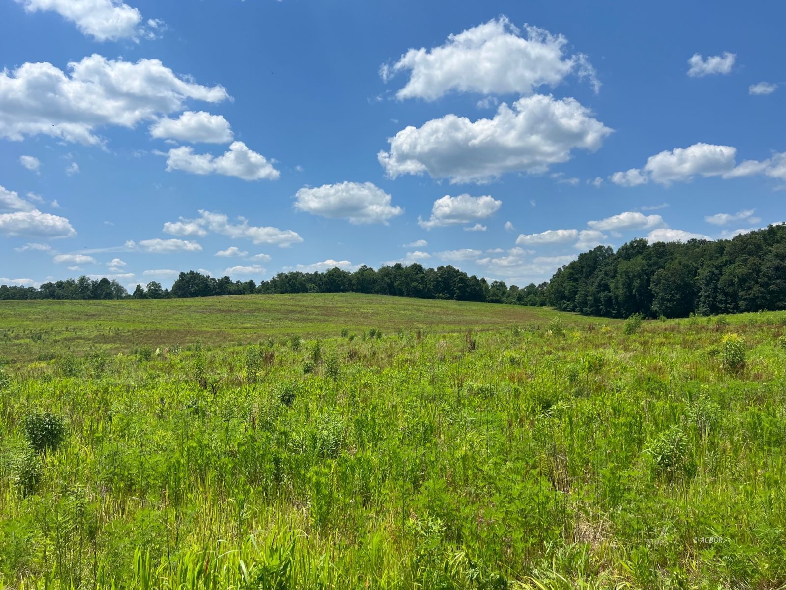 Lot 2 Salem School Lot Road Property Photo 2