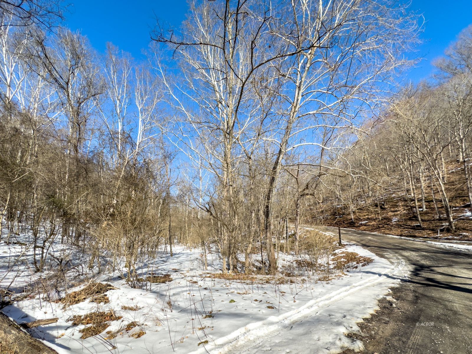Frost Hill Rd Property Photo 9