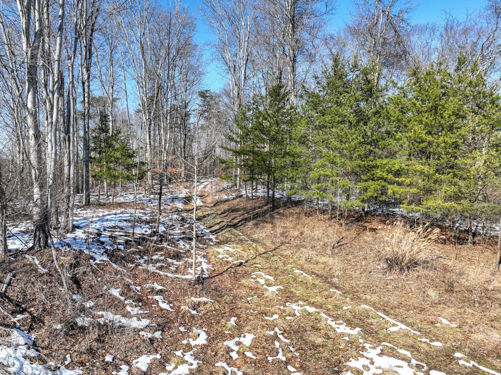 Frost Hill Rd Property Photo 21