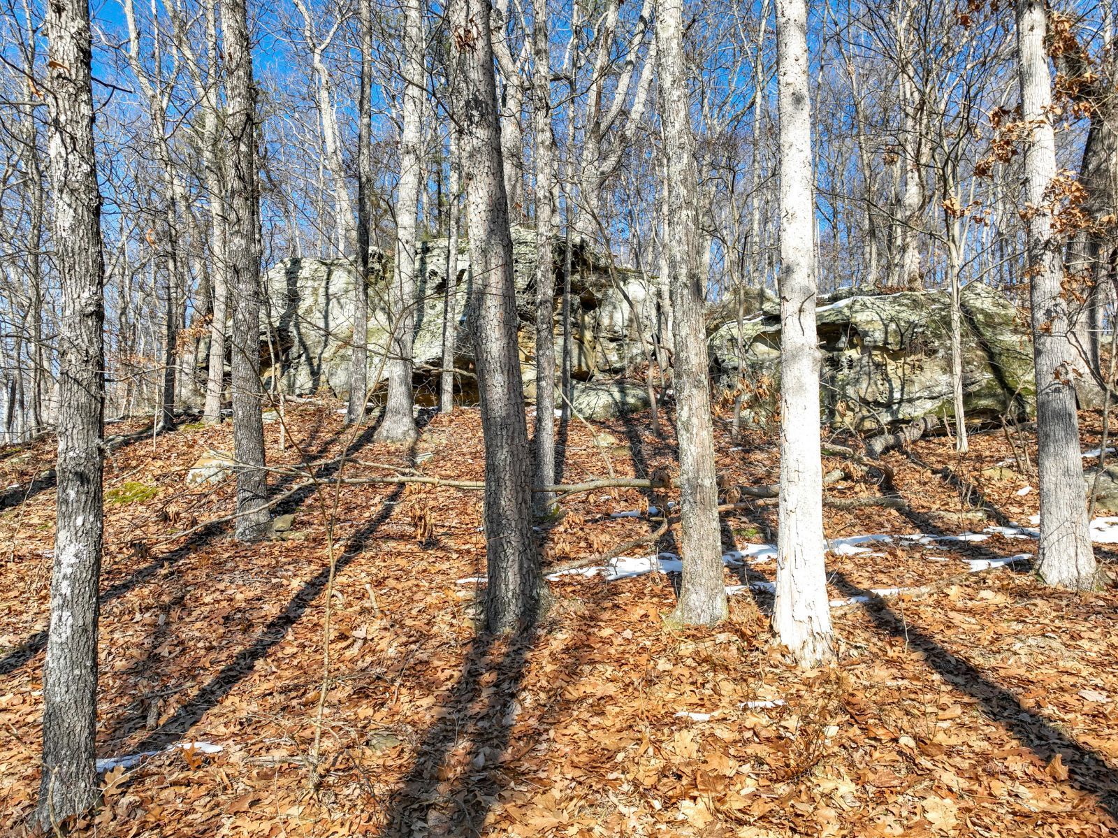 Frost Hill Rd Property Photo 24