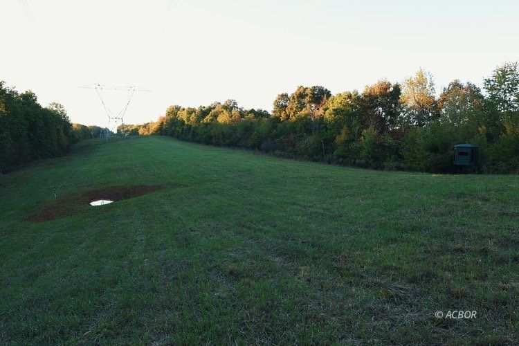 Van Zant Property Photo 3
