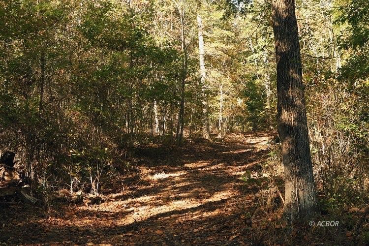 Van Zant Property Photo 4