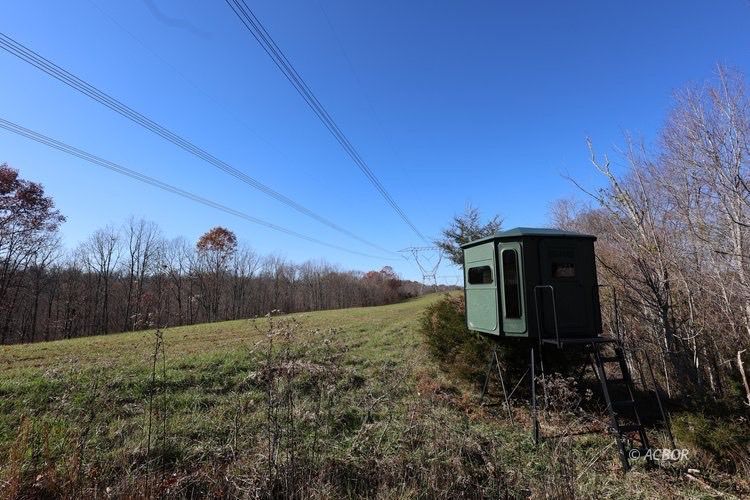 Van Zant Property Photo 11