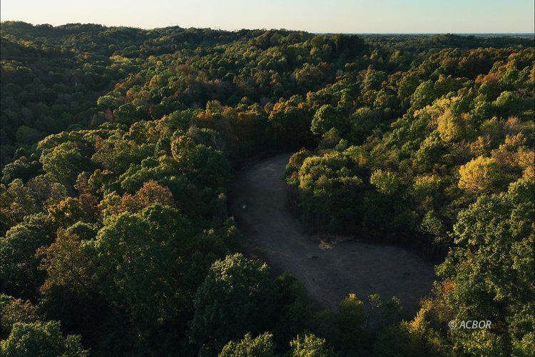 Van Zant Property Photo 13