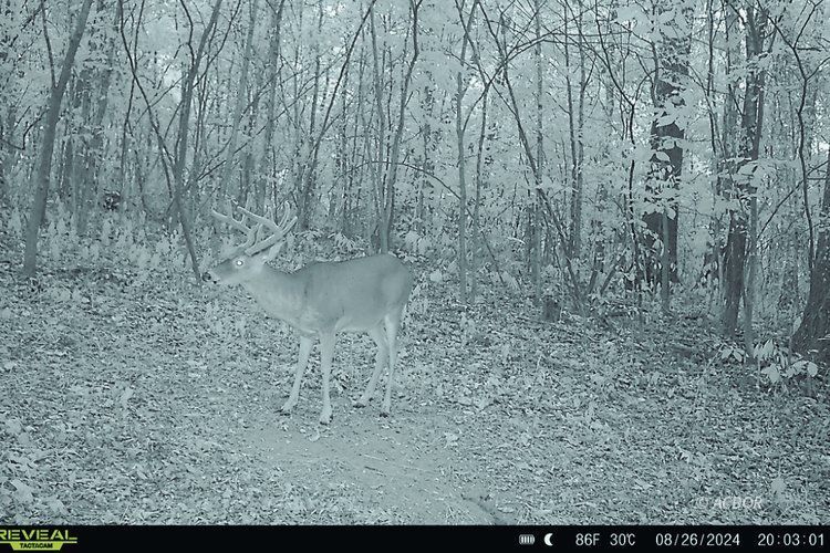 Van Zant Property Photo 21
