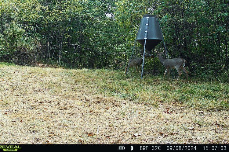 Van Zant Property Photo 22