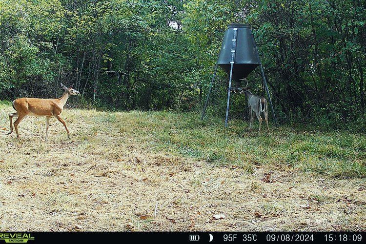 Van Zant Property Photo 23