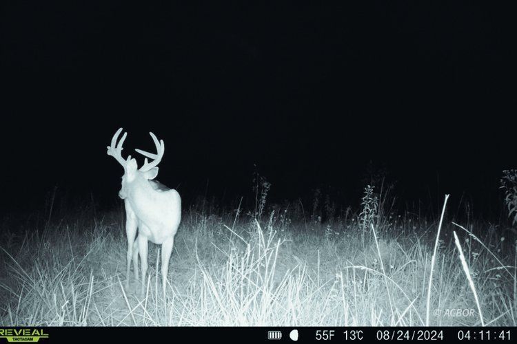 Van Zant Property Photo 25