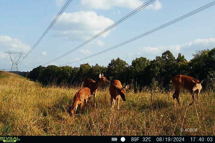 Van Zant Property Photo 26