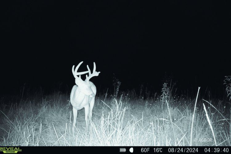 Van Zant Property Photo 27
