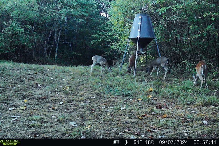Van Zant Property Photo 30