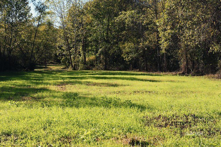 Van Zant Property Photo 32