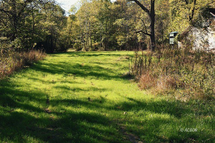 Van Zant Property Photo 33