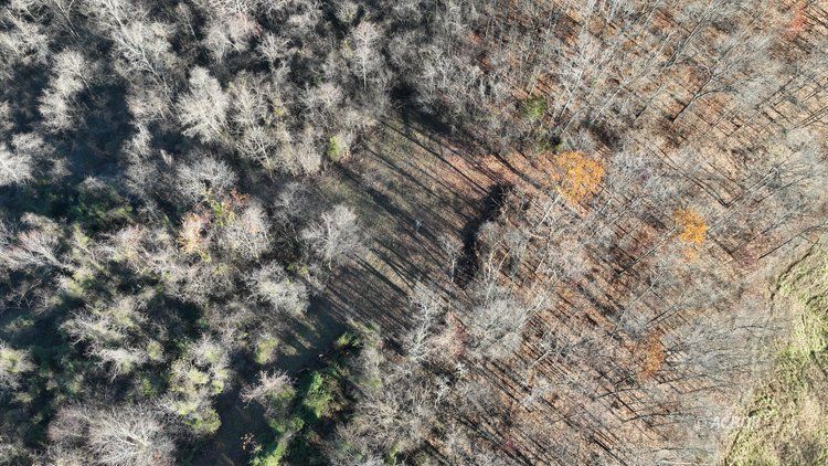 Van Zant Property Photo 34
