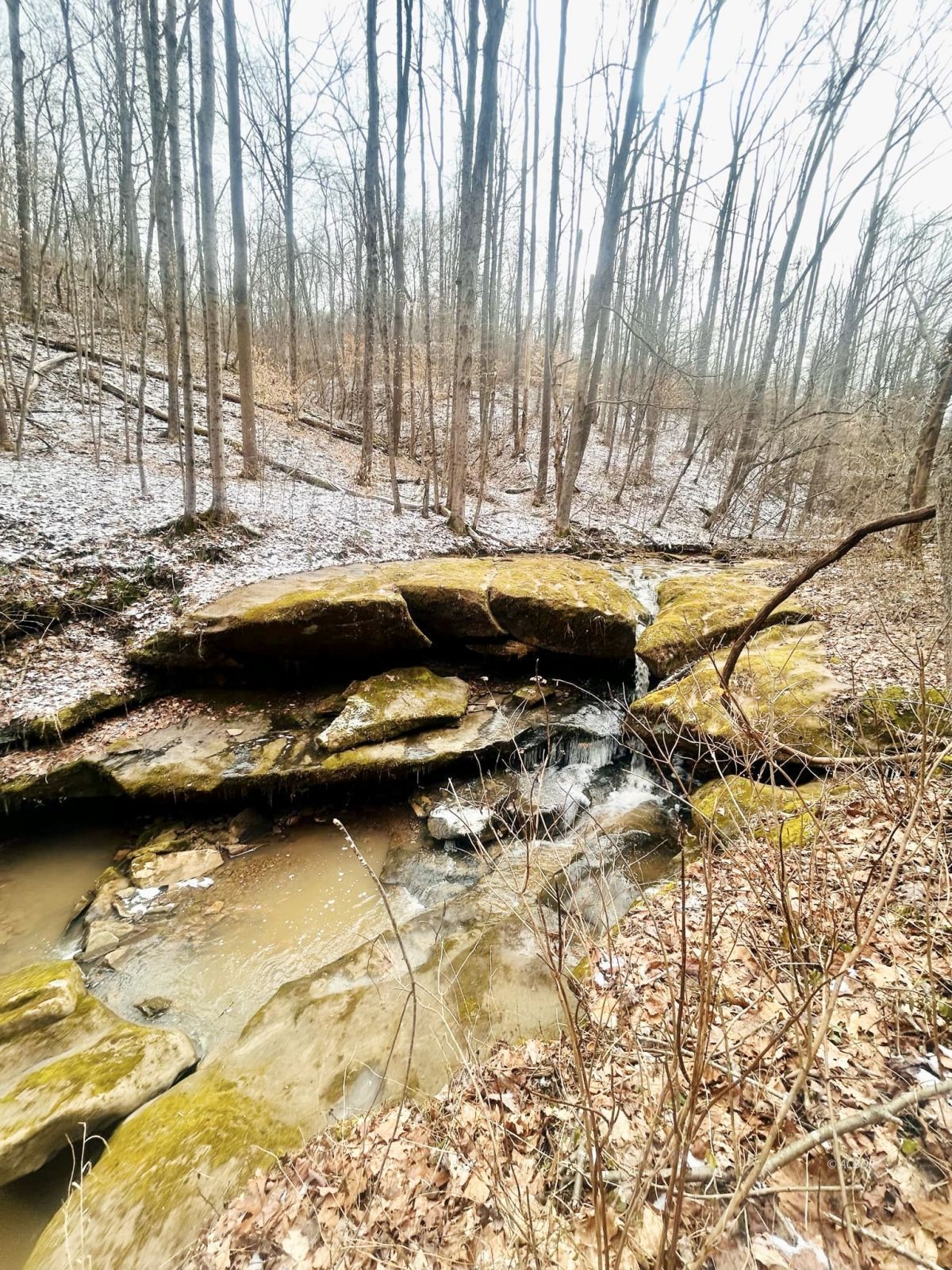 Wells Run Rd Property Photo 2