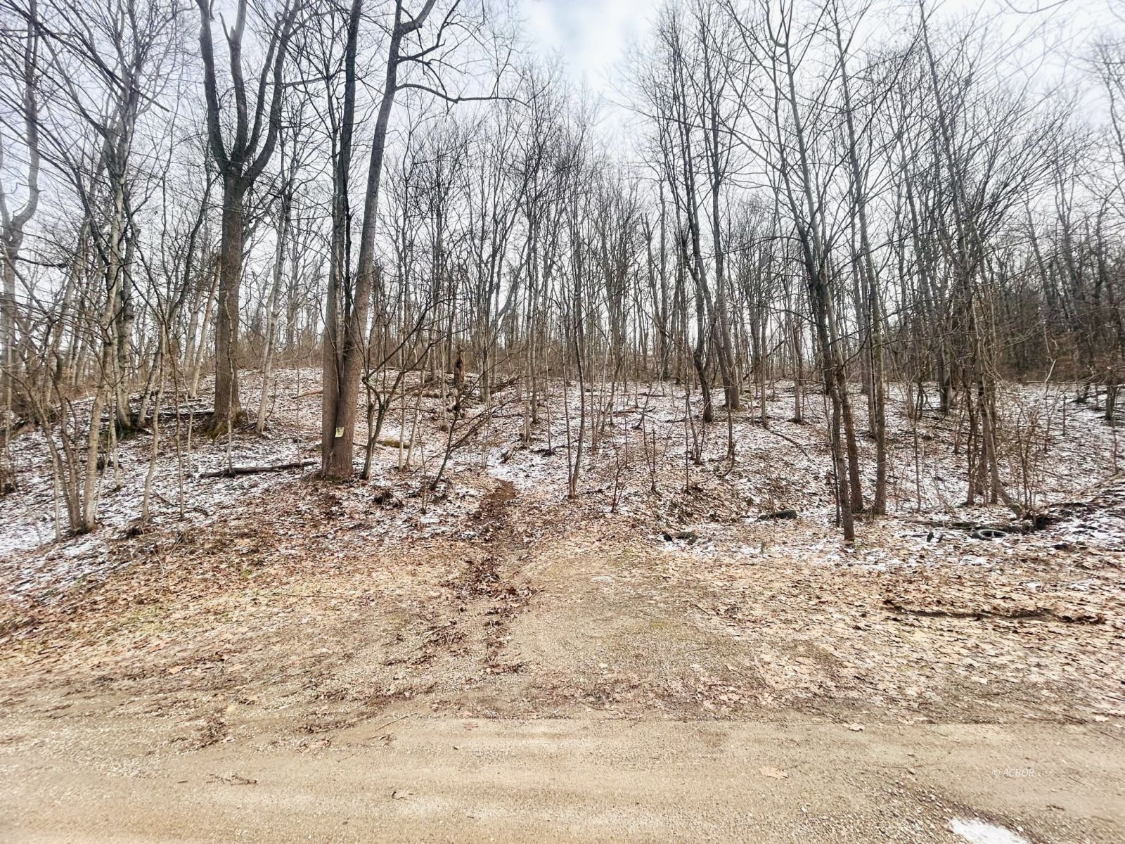 Wells Run Rd Property Photo 4
