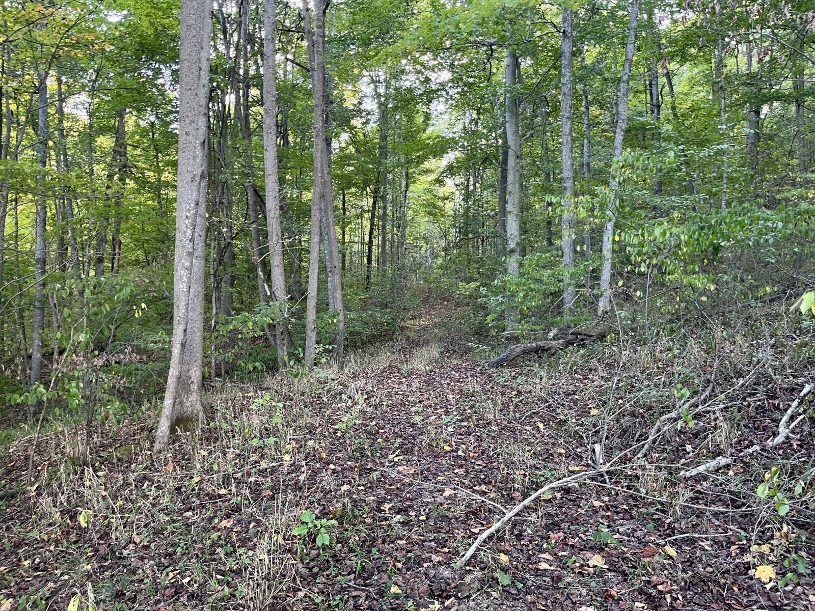 Sr 124 Property Photo 27