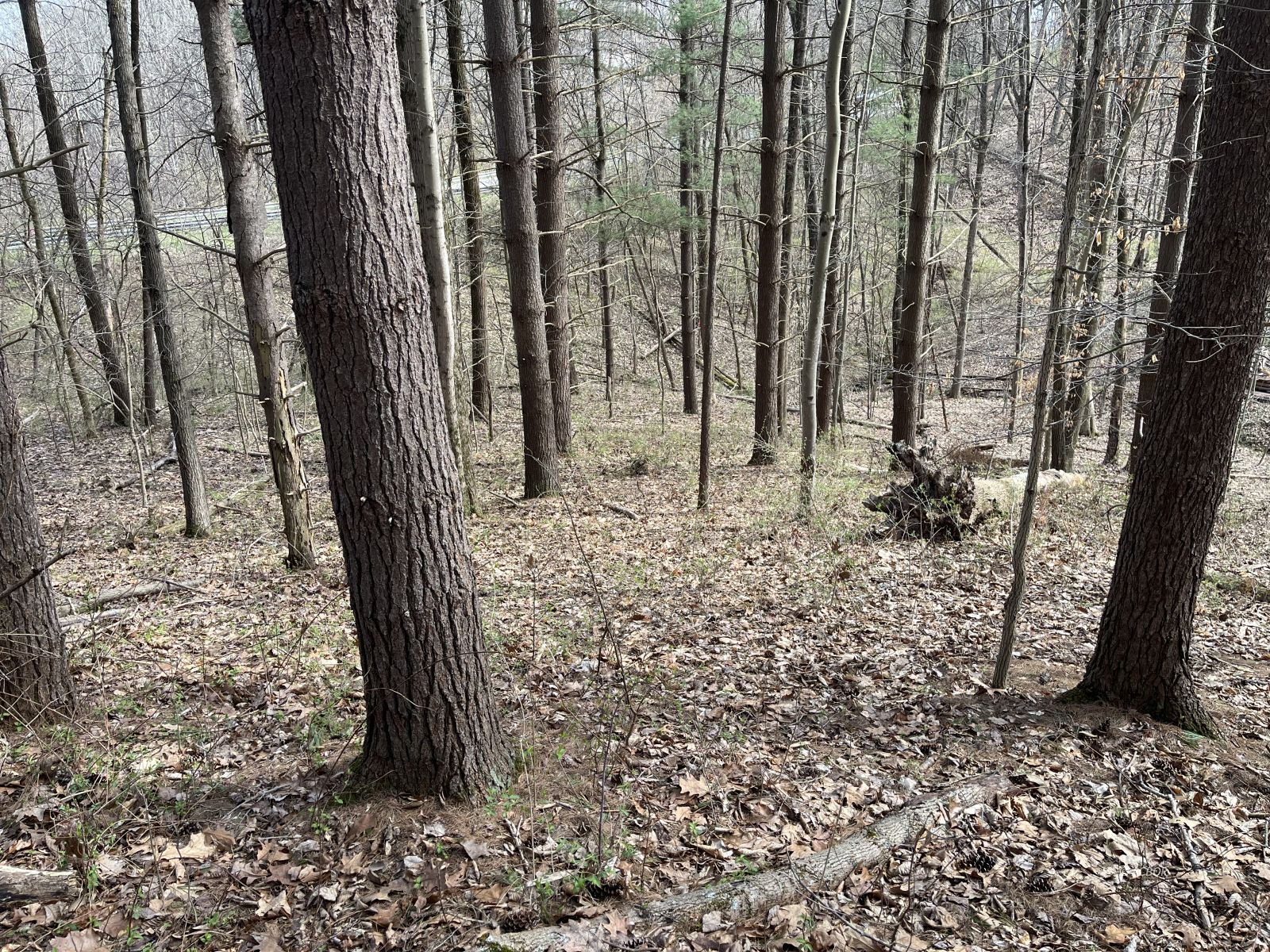 Strouds Run Rd Property Photo 2
