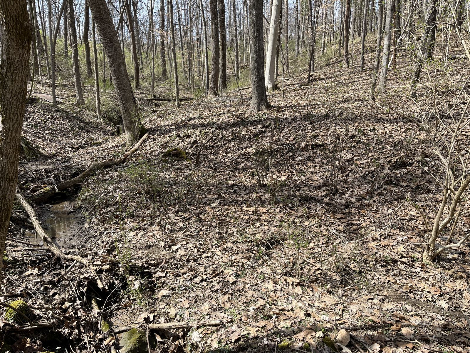 Strouds Run Rd Property Photo 3