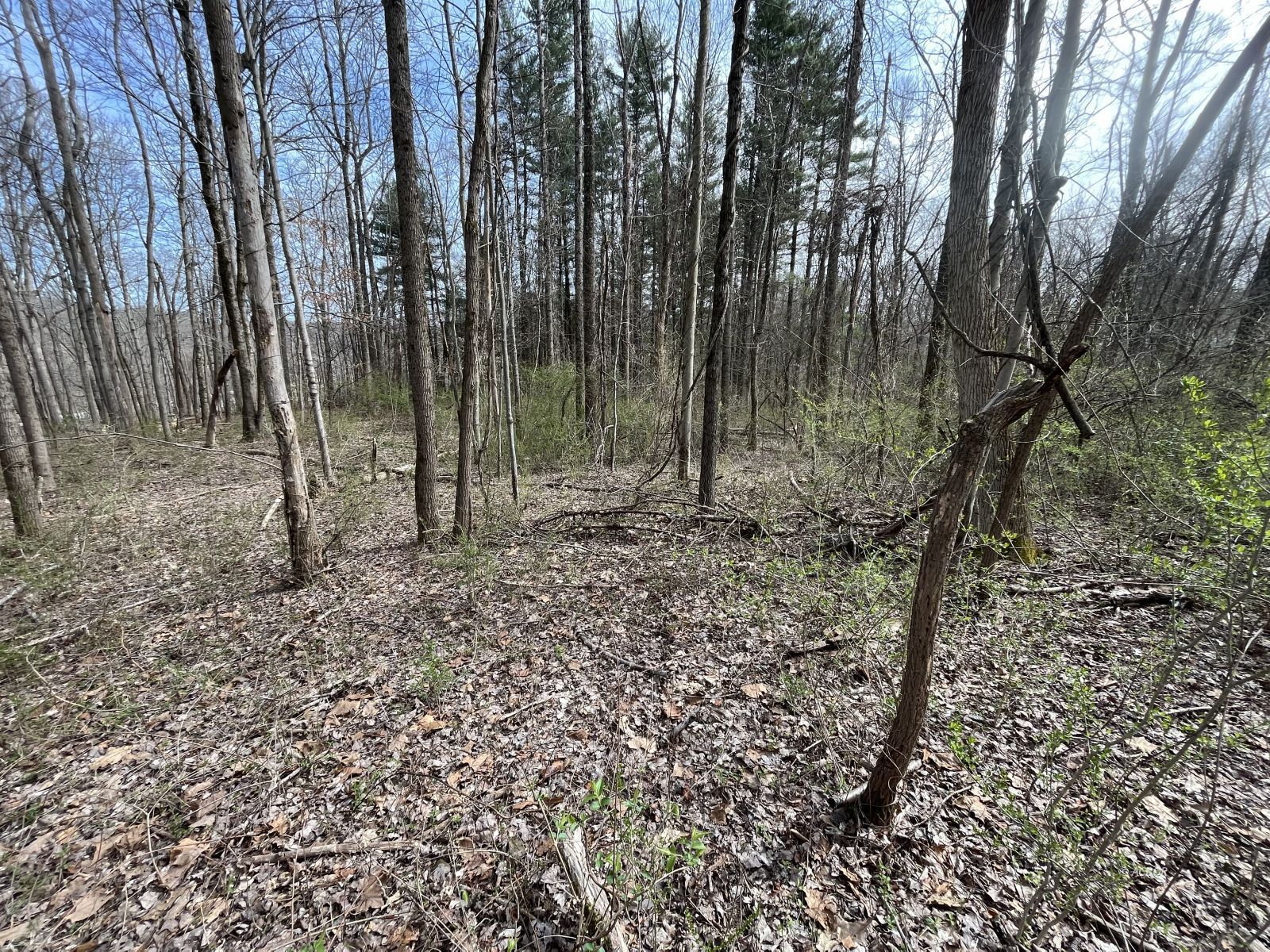 Strouds Run Rd Property Photo 4