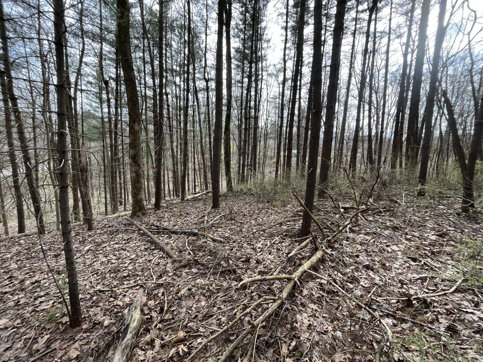 Strouds Run Rd Property Photo 5