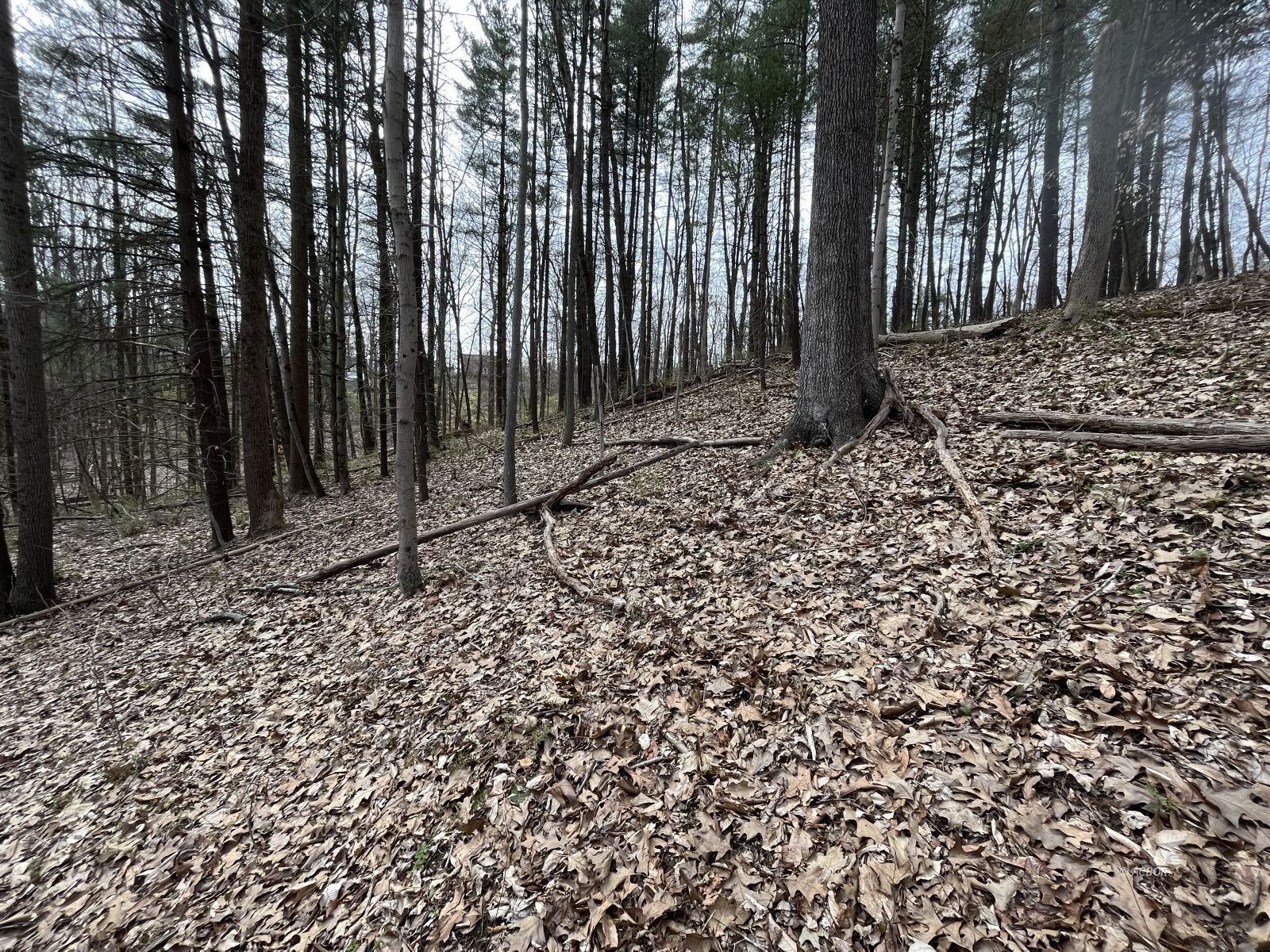 Strouds Run Rd Property Photo 6