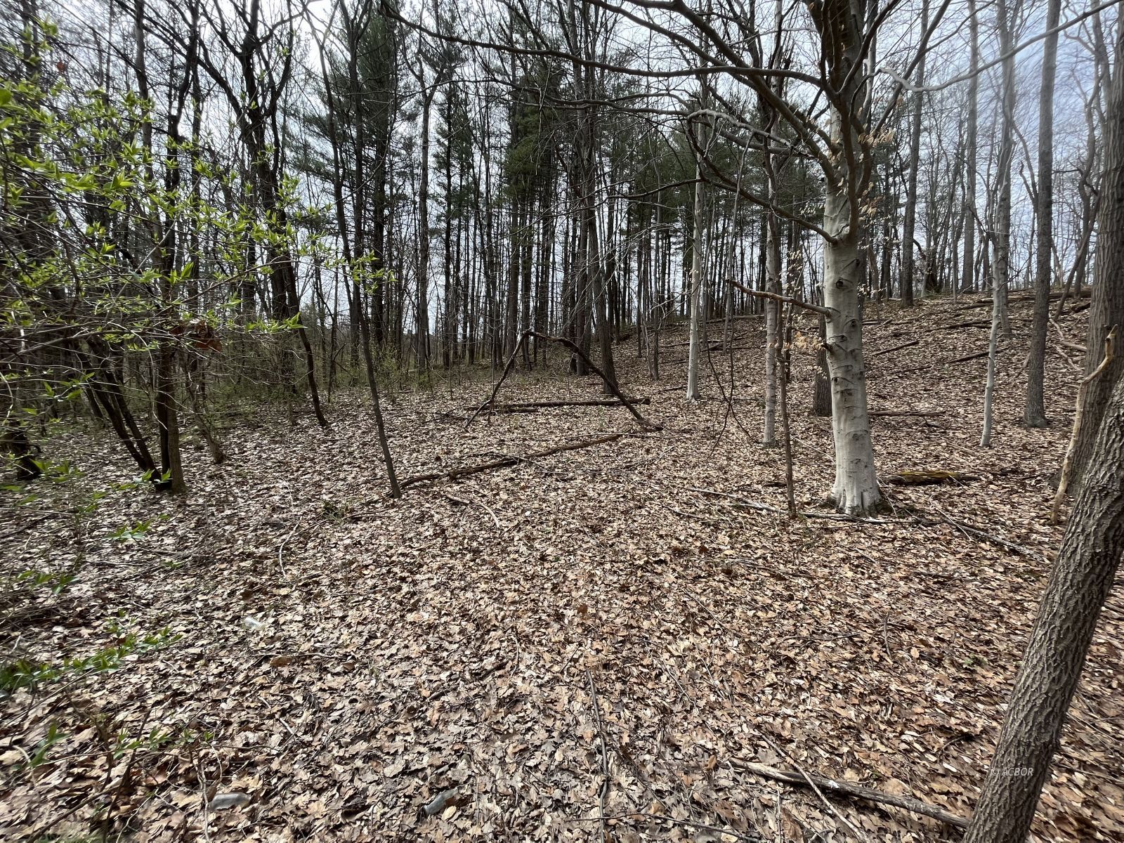 Strouds Run Rd Property Photo 7