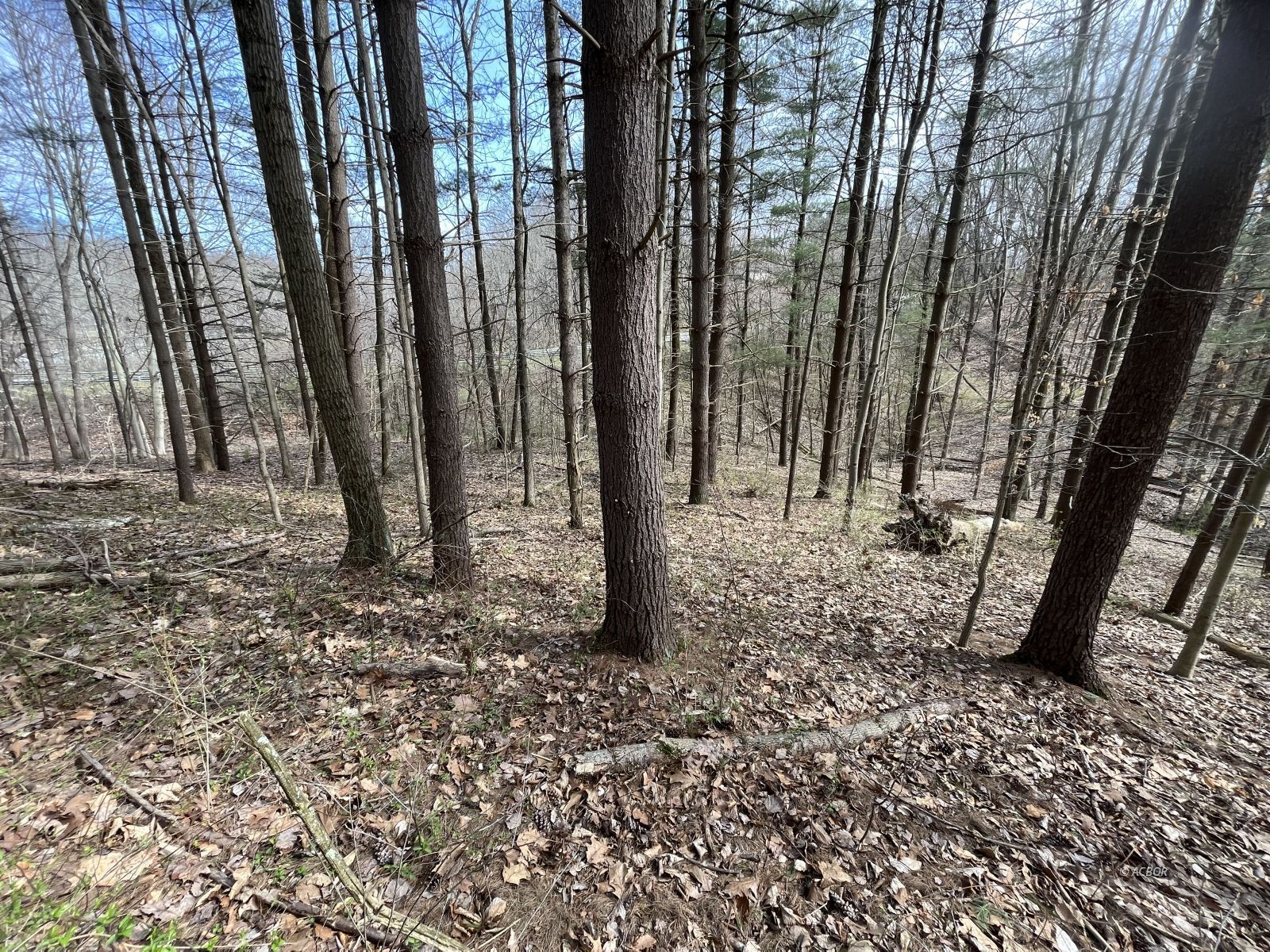 Strouds Run Rd Property Photo 8