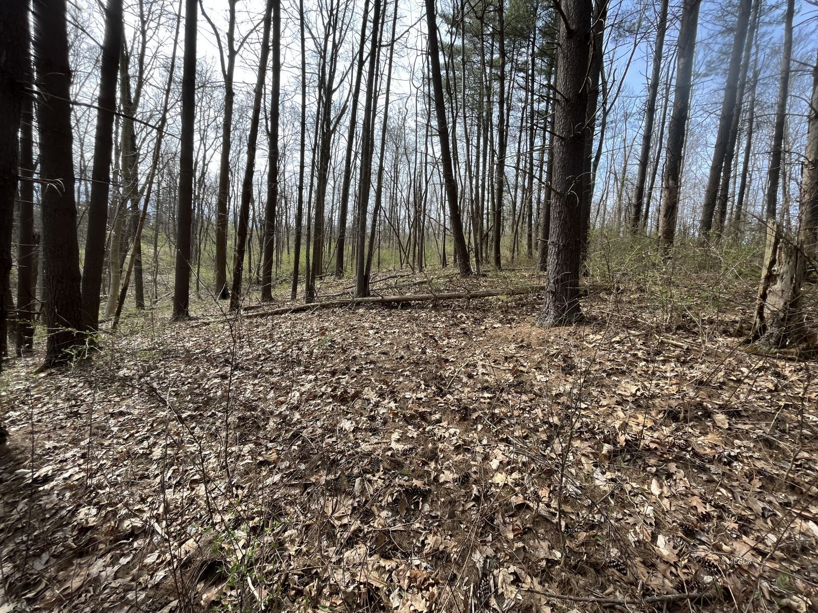 Strouds Run Rd Property Photo 9