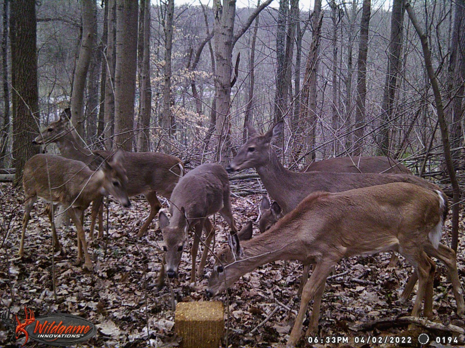 Strouds Run Rd Property Photo 10