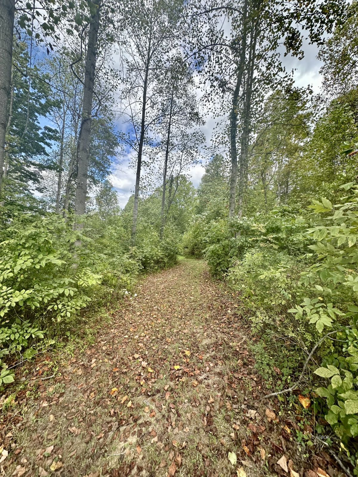 Neighborhood Rd. Property Photo