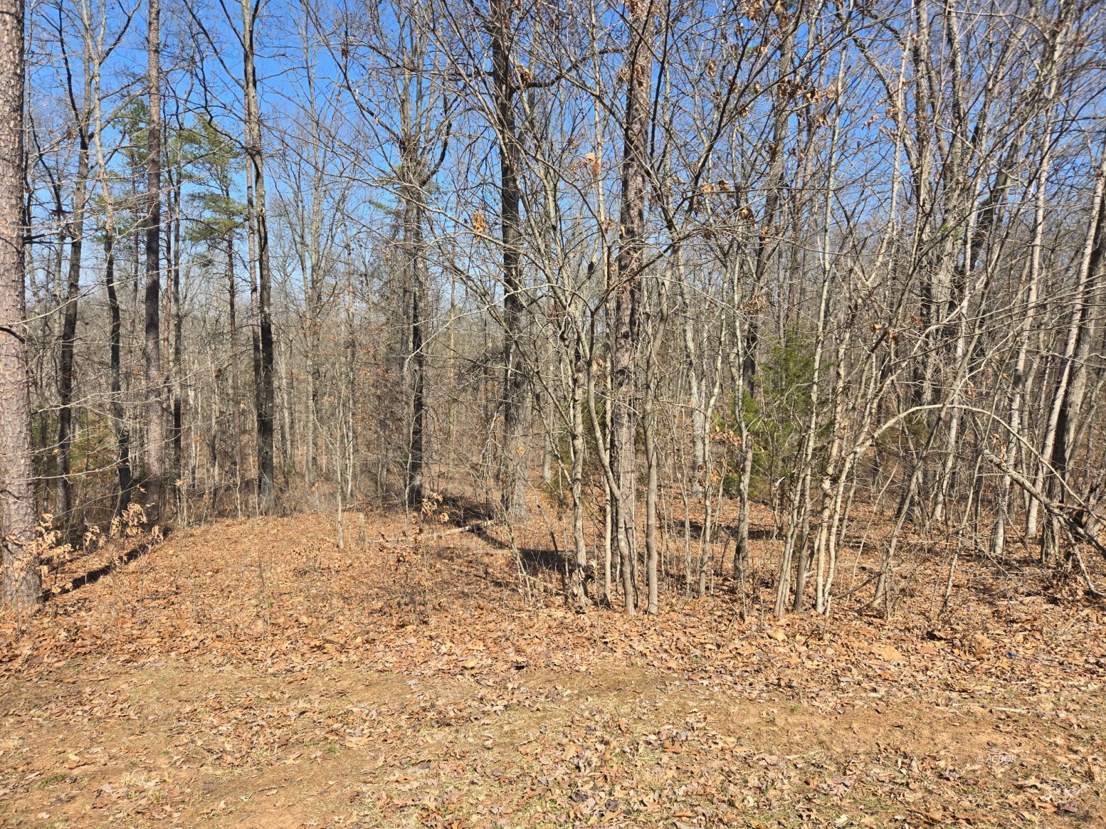 Oak Ridge Dr Property Photo