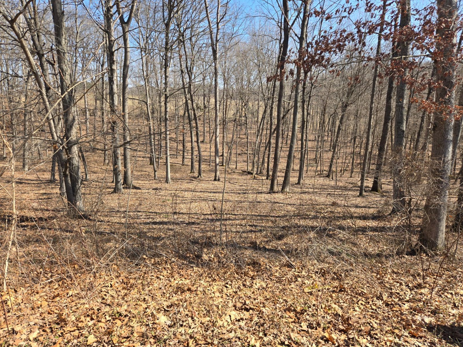 Oak Ridge Dr Property Photo
