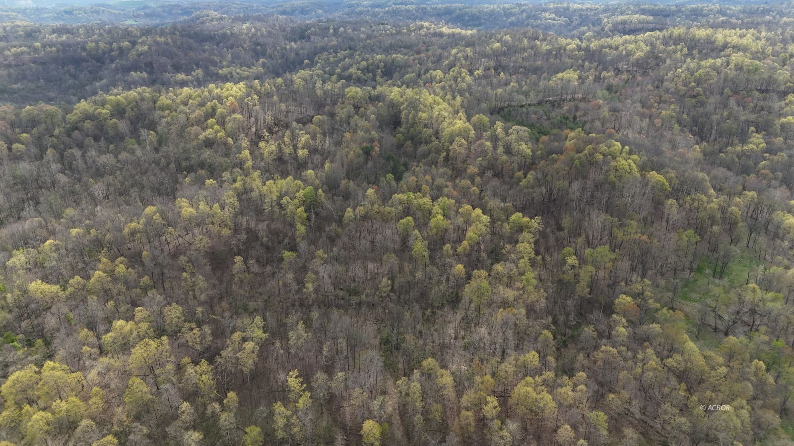 Titus Road Property Photo 1
