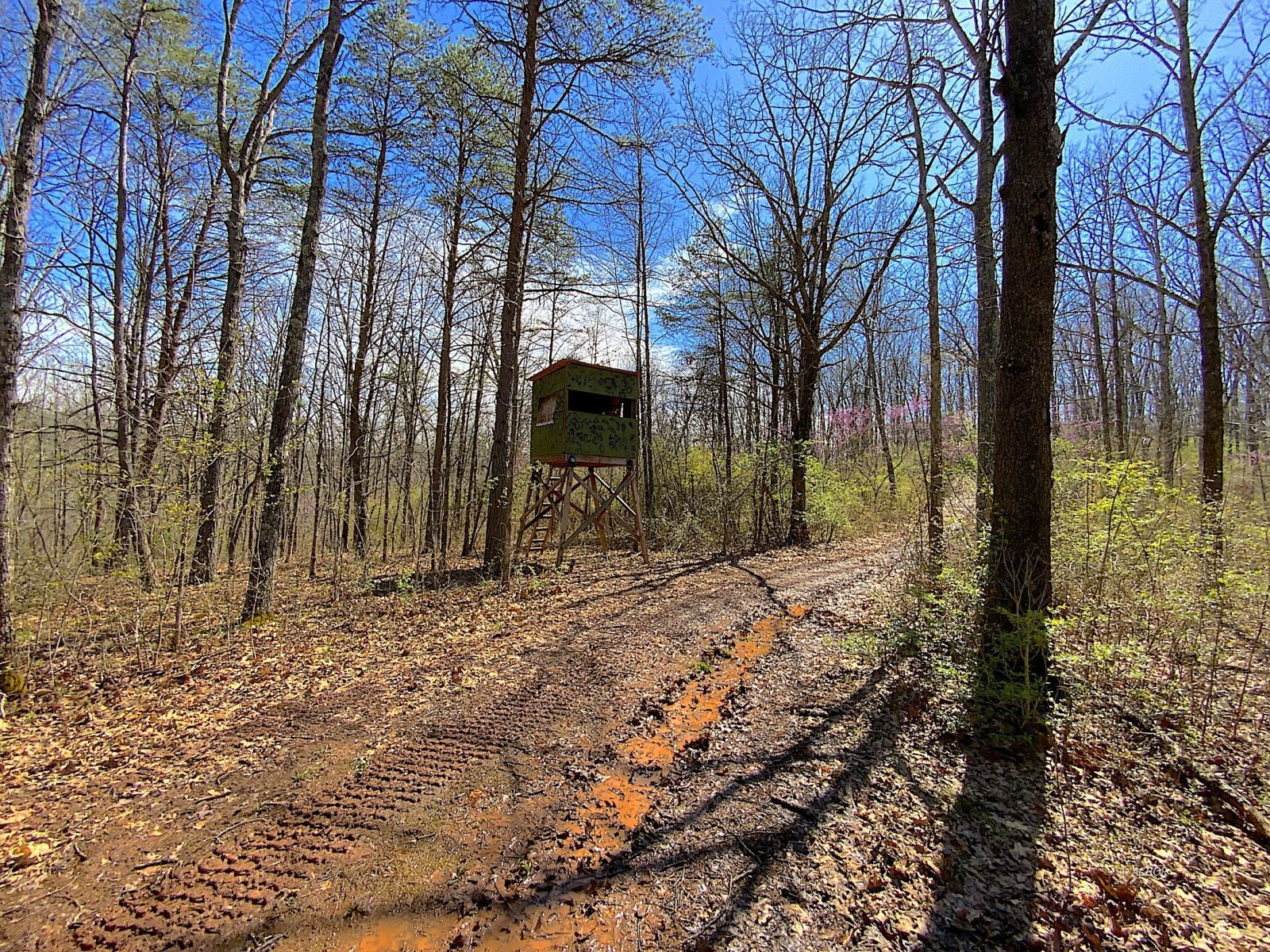 9675 State Route 554 Property Photo 13