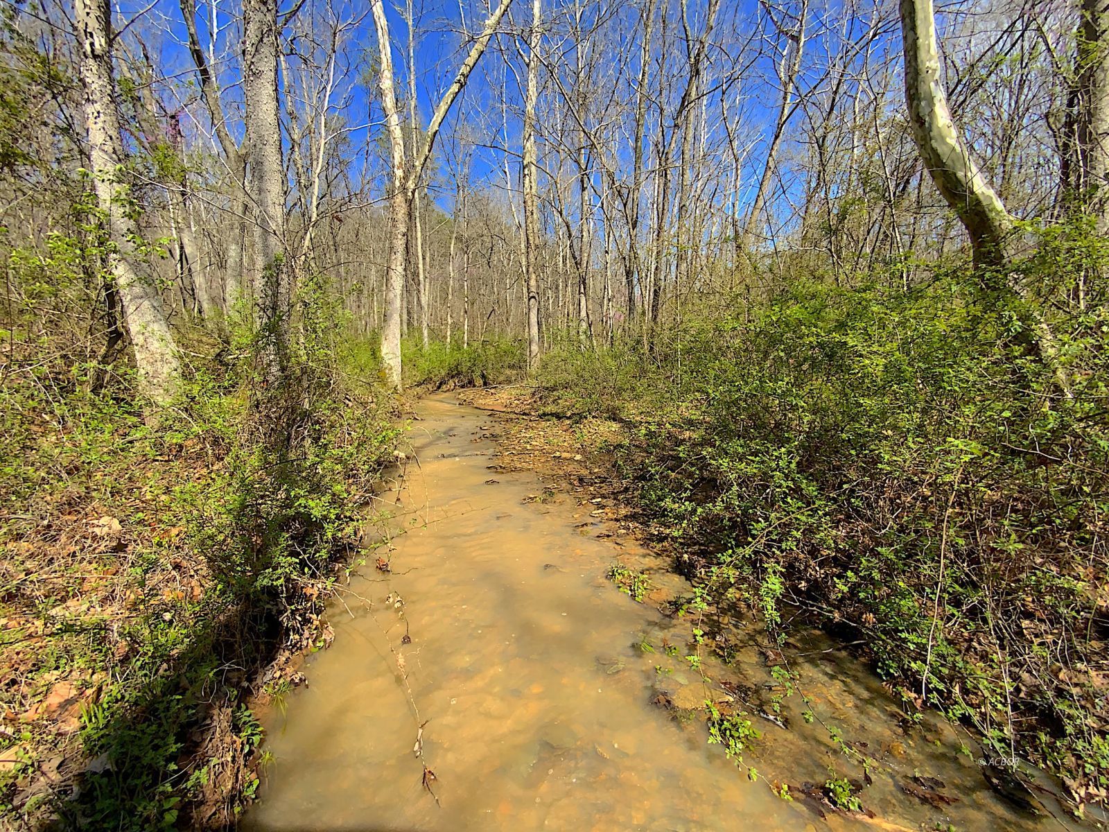 9675 State Route 554 Property Photo 15