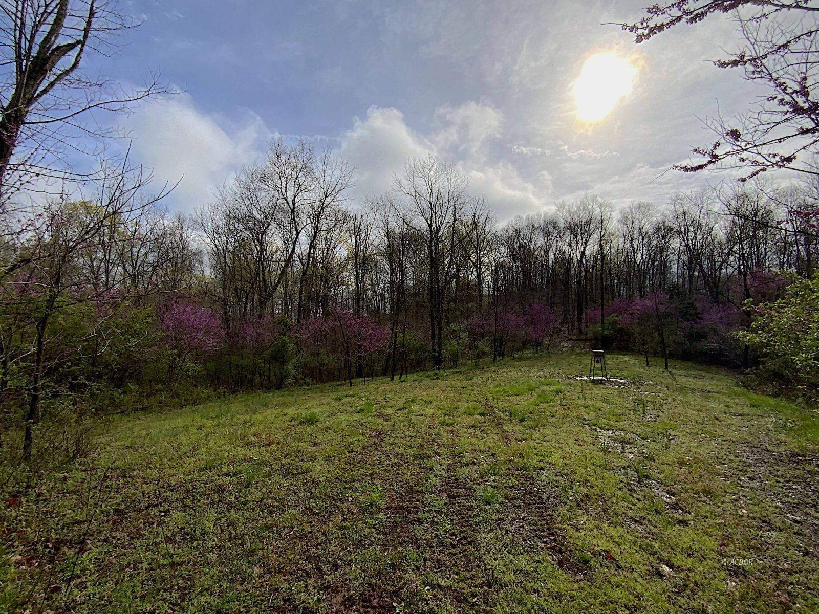 9675 State Route 554 Property Photo 17