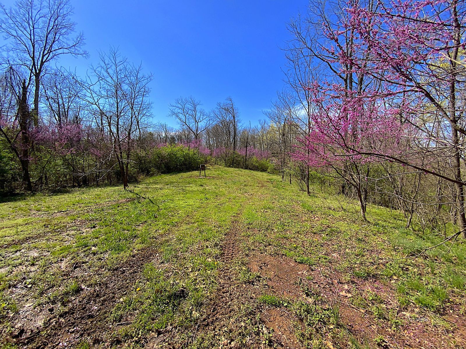 9675 State Route 554 Property Photo 18