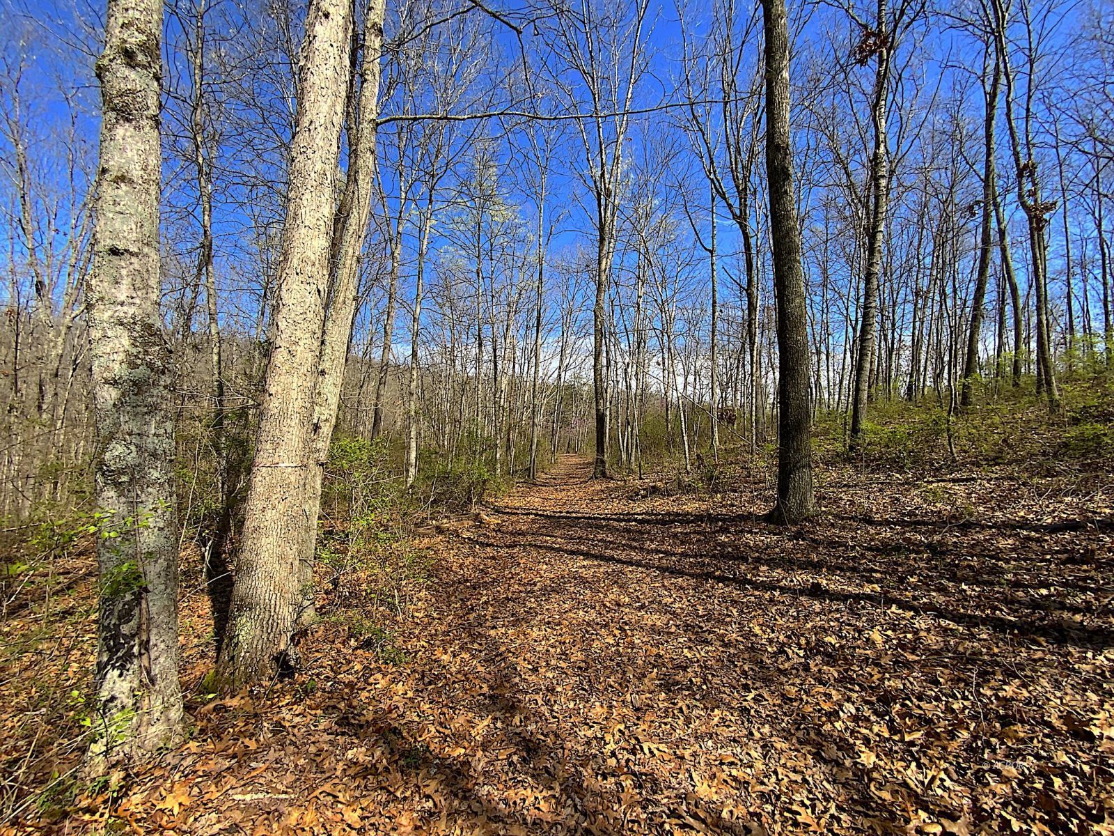 9675 State Route 554 Property Photo 19